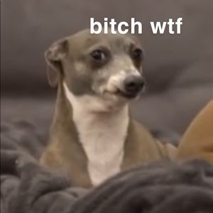 Meet your Posher, Jesus